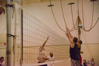 DSC_1786 (Large).JPG